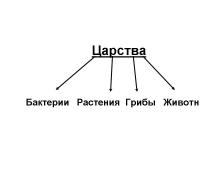 Кто открыл одноклеточные организмы?