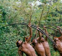 Женщины племен Амазонки. Дикие племена Амазонки. Самые дикие племена Амазонки: фильмы, фото, видео смотреть онлайн. Жизнь диких индейцев в джунглях Южной Америки Амазония дикие племена
